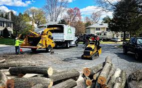 Best Firewood Processing and Delivery  in Cheval, FL