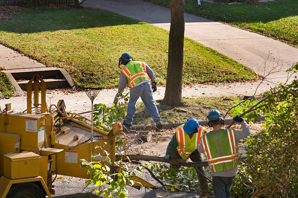 Best Tree Mulching  in Cheval, FL